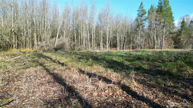 a view of outdoor space with green space