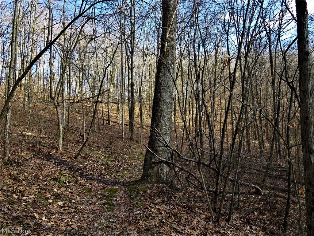 115 Poker Road Southeast Scio, OH 43988 - Photo 17 of 25 Gallery Image 17
