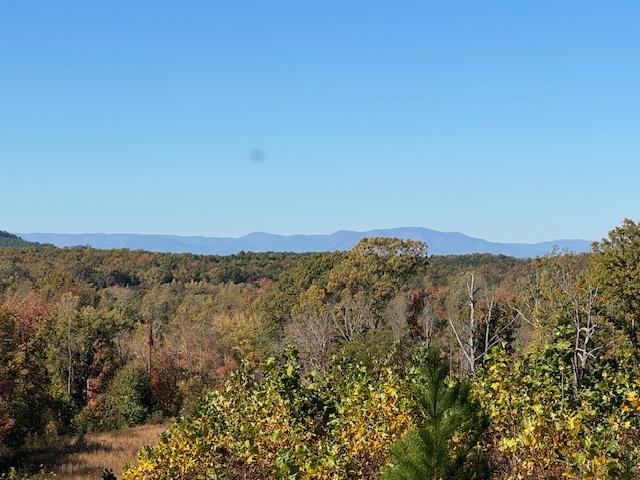 7 Oak Rdg Road Appomattox, VA 24522 - Photo 17 of 25 Gallery Image 17