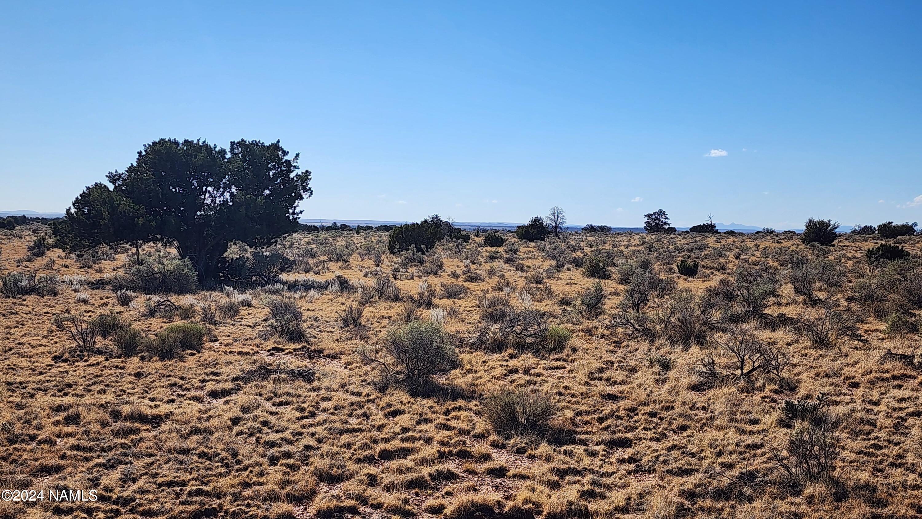 3433 Red Butte Road Williams, AZ 86046 - Photo 14 of 22