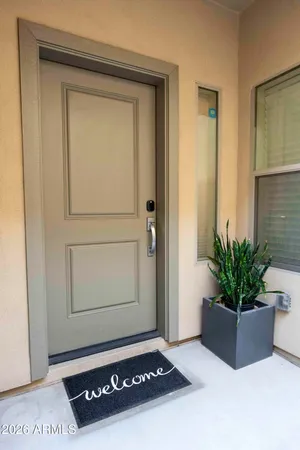 a living room with a potted plant