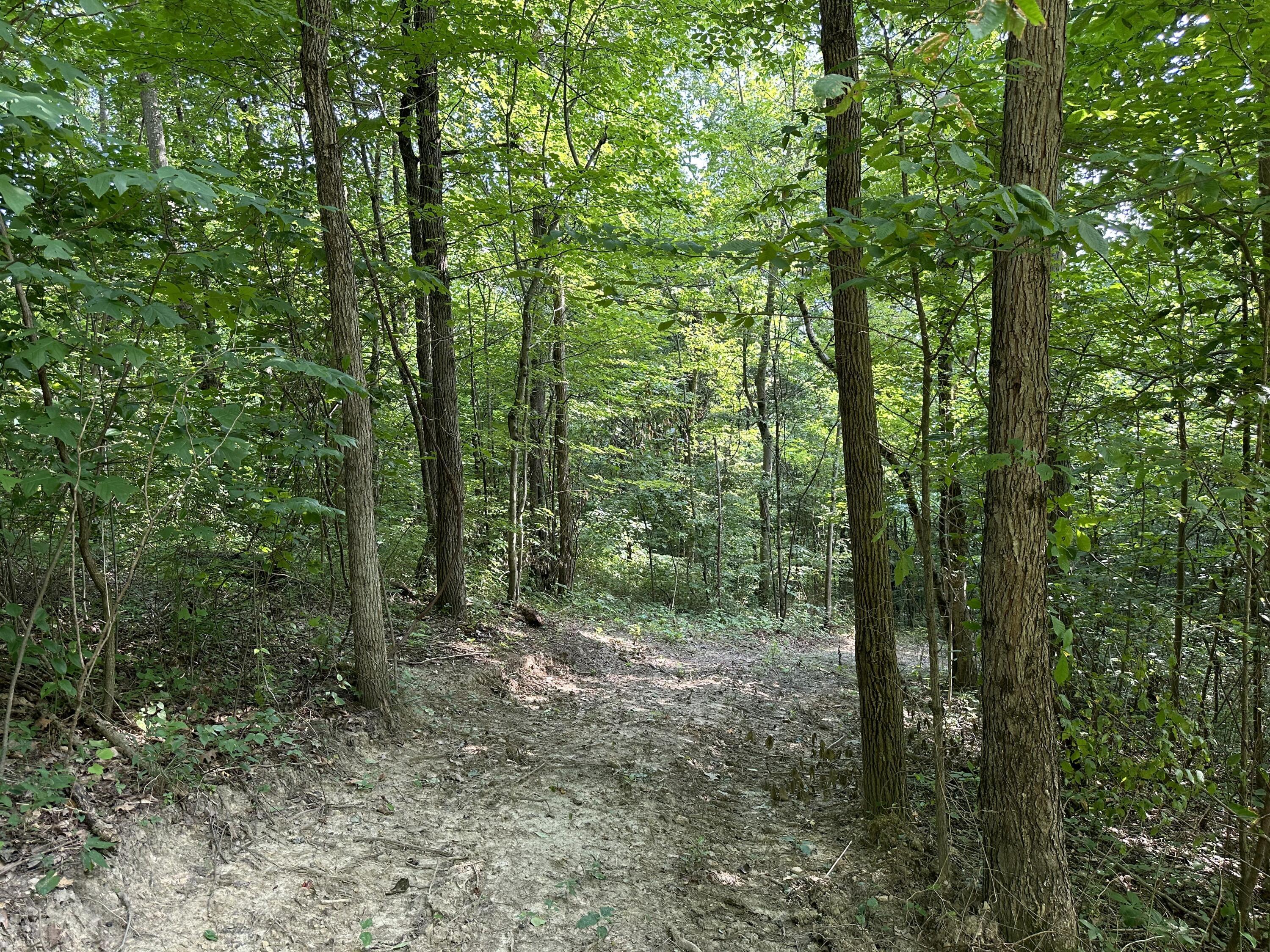6690 Old State Road, Unit PERRY RIDGE TRACT 6) Crooksville, OH 43731 - Photo 10 of 36 20230804_211310930_iOS