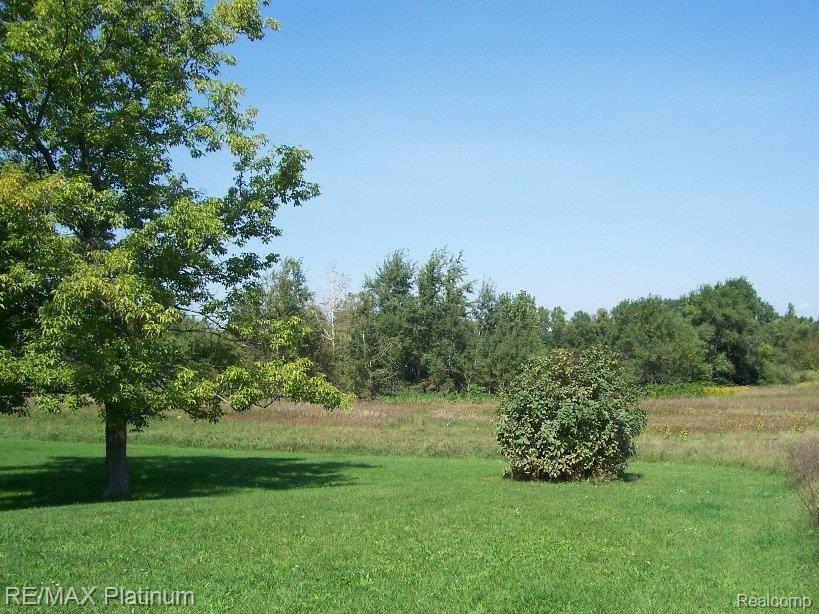 20550 North Lake Road Gregory, MI 48137 - Photo 12 of 13 nl_yard_and_field