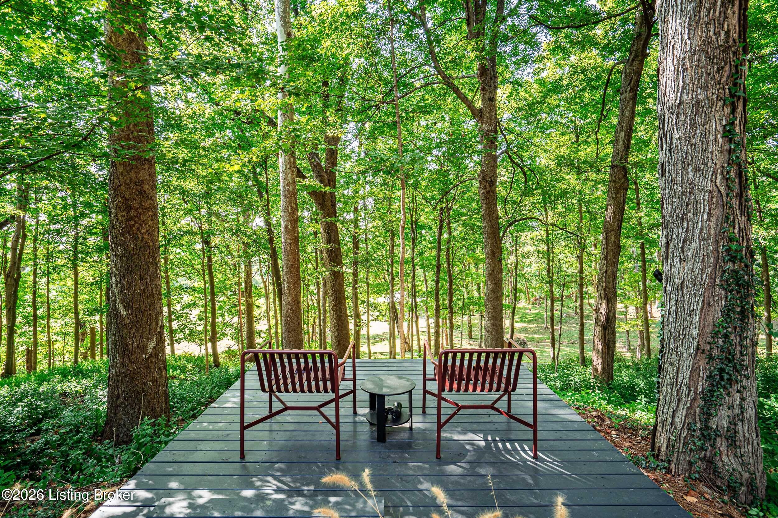 7909 Rose Island Road Prospect, KY 40059 - Photo 93 of 108 7909 Rose Island Road-33