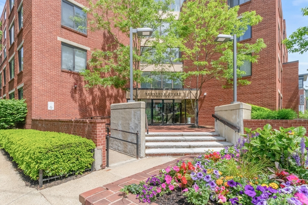 85 Brainerd Road, Unit 507 Boston, MA 02134 - Photo 3 of 23 a view of a garden with flowers and brick wall