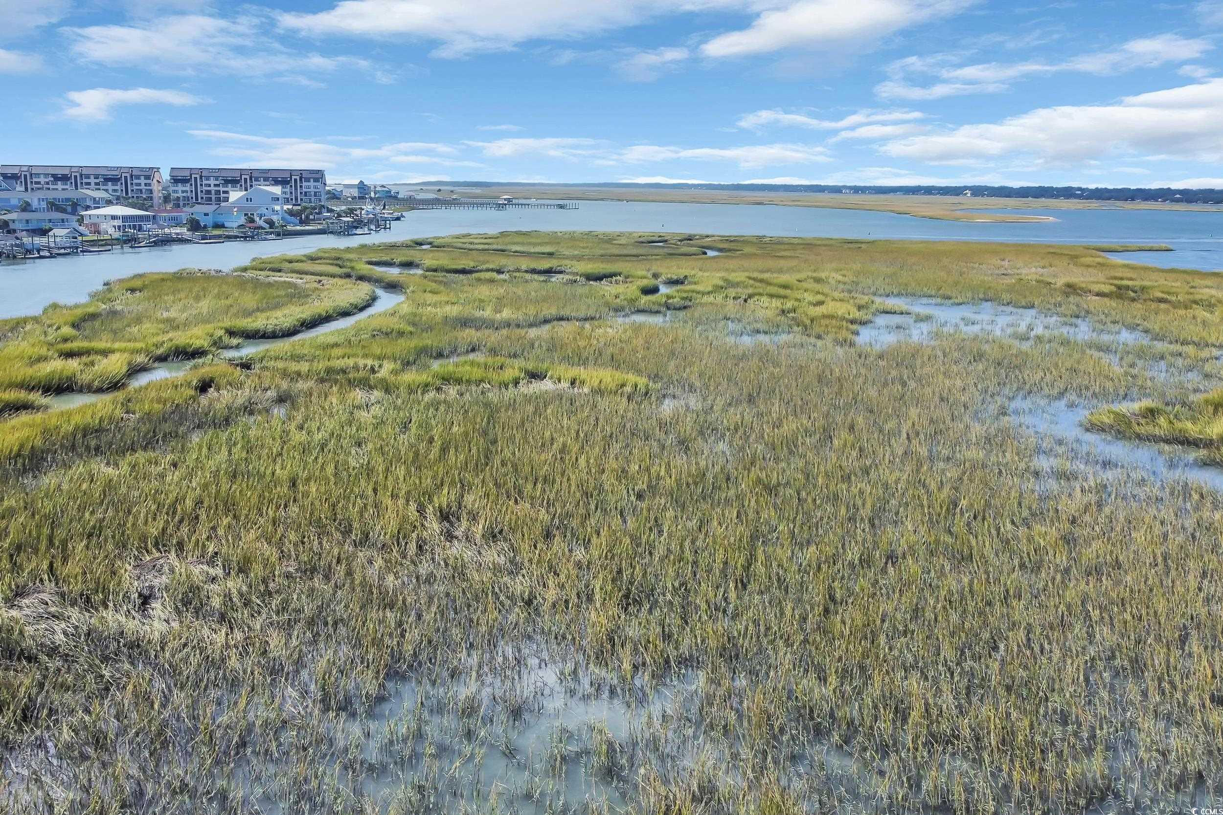 1332 South Waccamaw Drive Murrells Inlet, SC 29576 - Photo 23 of 39 Aerial view of a large body of water and a forest