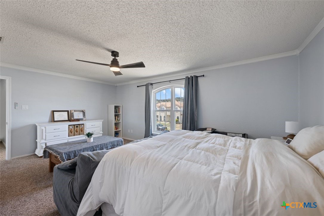 2307 Bernice Circle Copperas Cove, TX 76522 - Photo 21 of 32 a bedroom with a bed and window