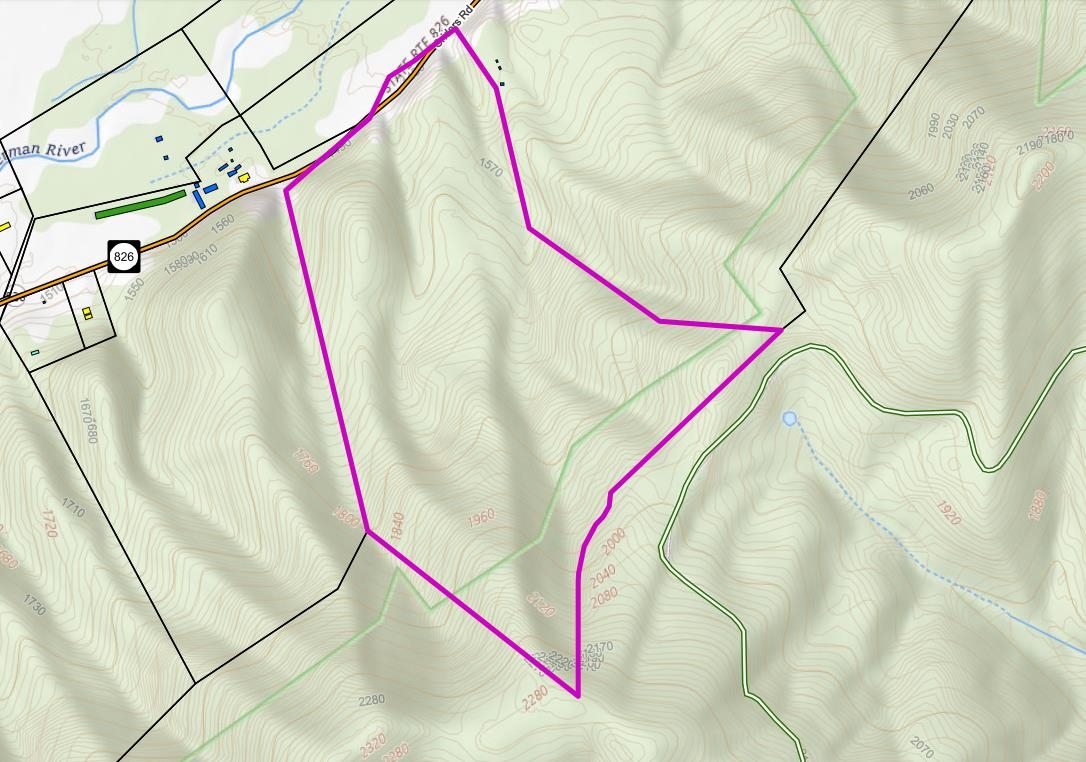 Tbd Criders Road Bergton, VA 22811 - Photo 4 of 22