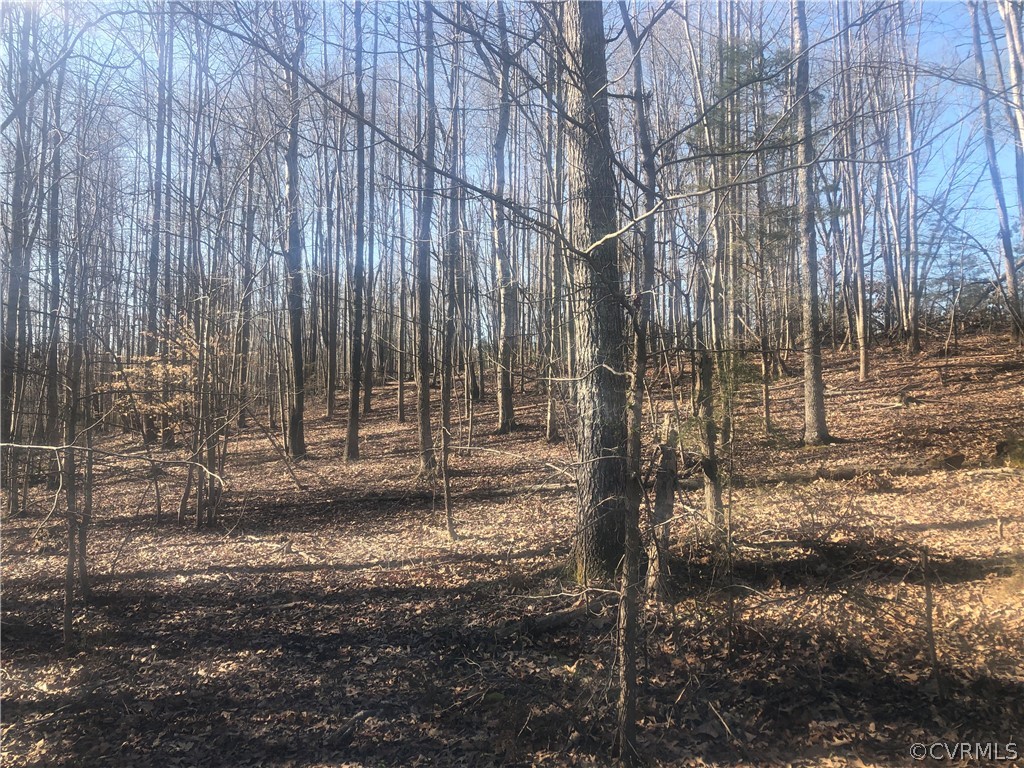 0 Slaughter Road Keysville, VA 23947 - Photo 1 of 6 a view of a backyard with trees