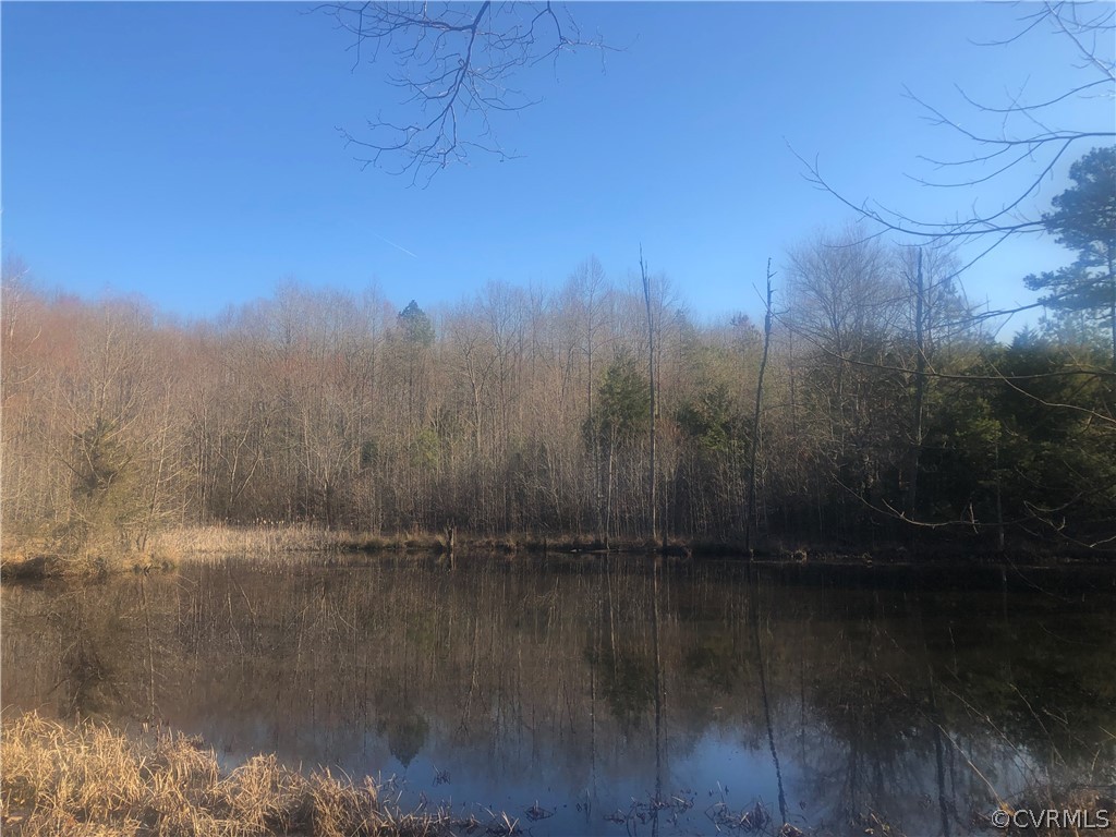 0 Slaughter Road Keysville, VA 23947 - Photo 2 of 6 a view of lake