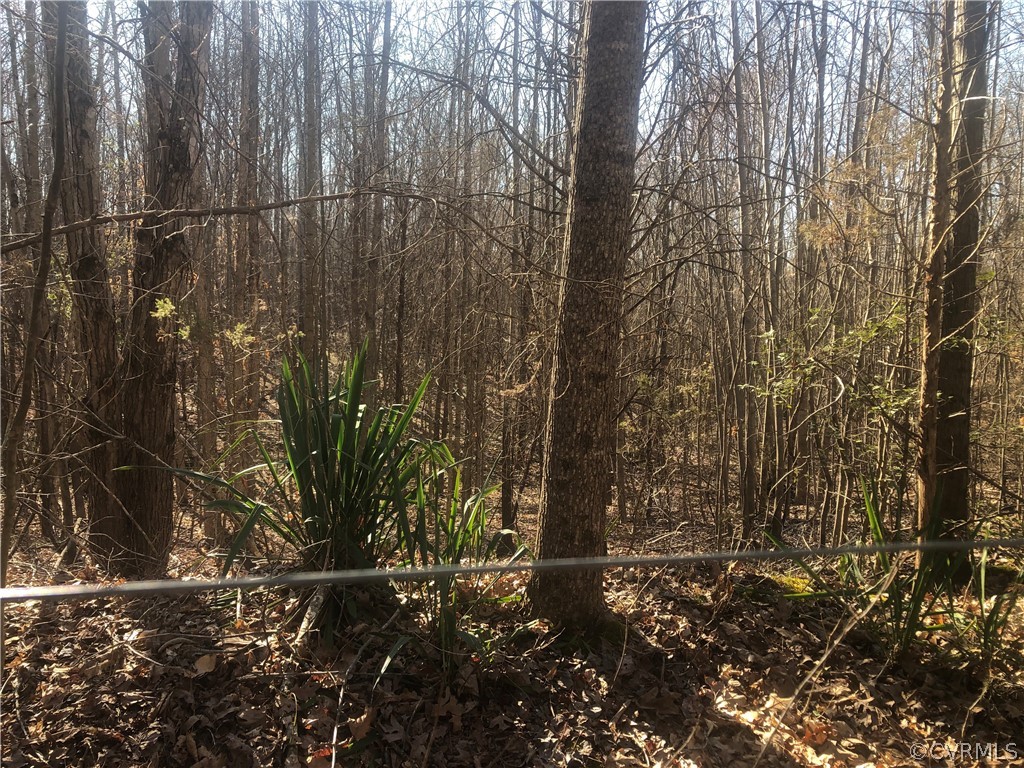 0 Slaughter Road Keysville, VA 23947 - Photo 3 of 6 a view of a backyard of the house