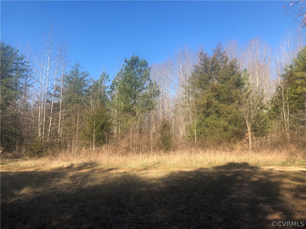 0 Slaughter Road Keysville, VA 23947 - Photo 4 of 6 a view of a yard