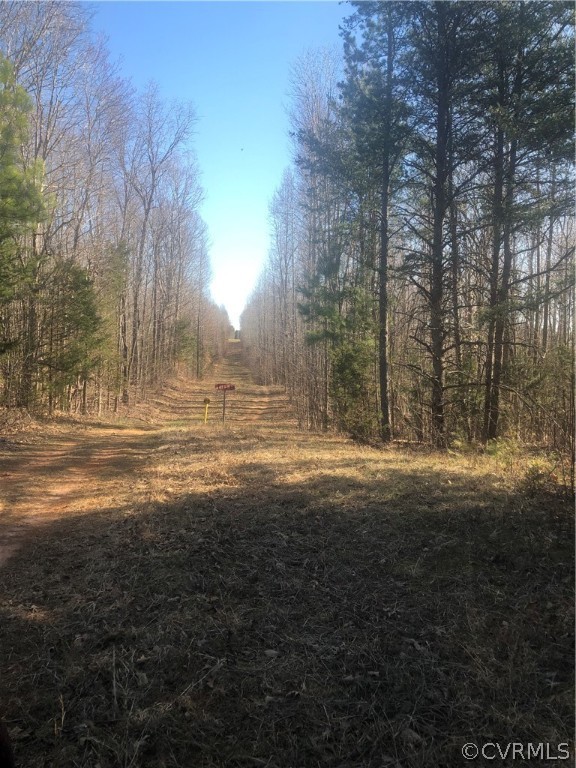 0 Slaughter Road Keysville, VA 23947 - Photo 5 of 6 a view of a yard with large trees
