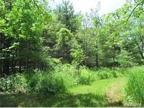 12179 Rohn Road Fenton, MI 48430 - Photo 10 of 38 Rohn 12.jpg