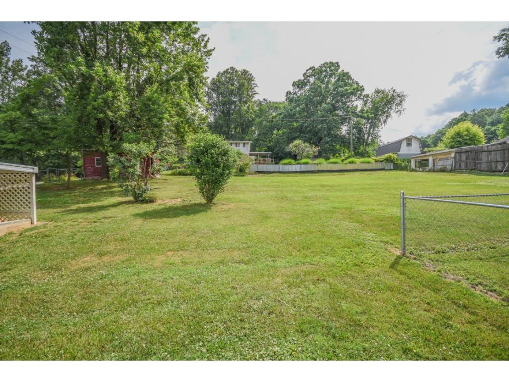 319 Broad Street Erwin, TN 37650 - Photo 33 of 36 Absolutely fabulous yard