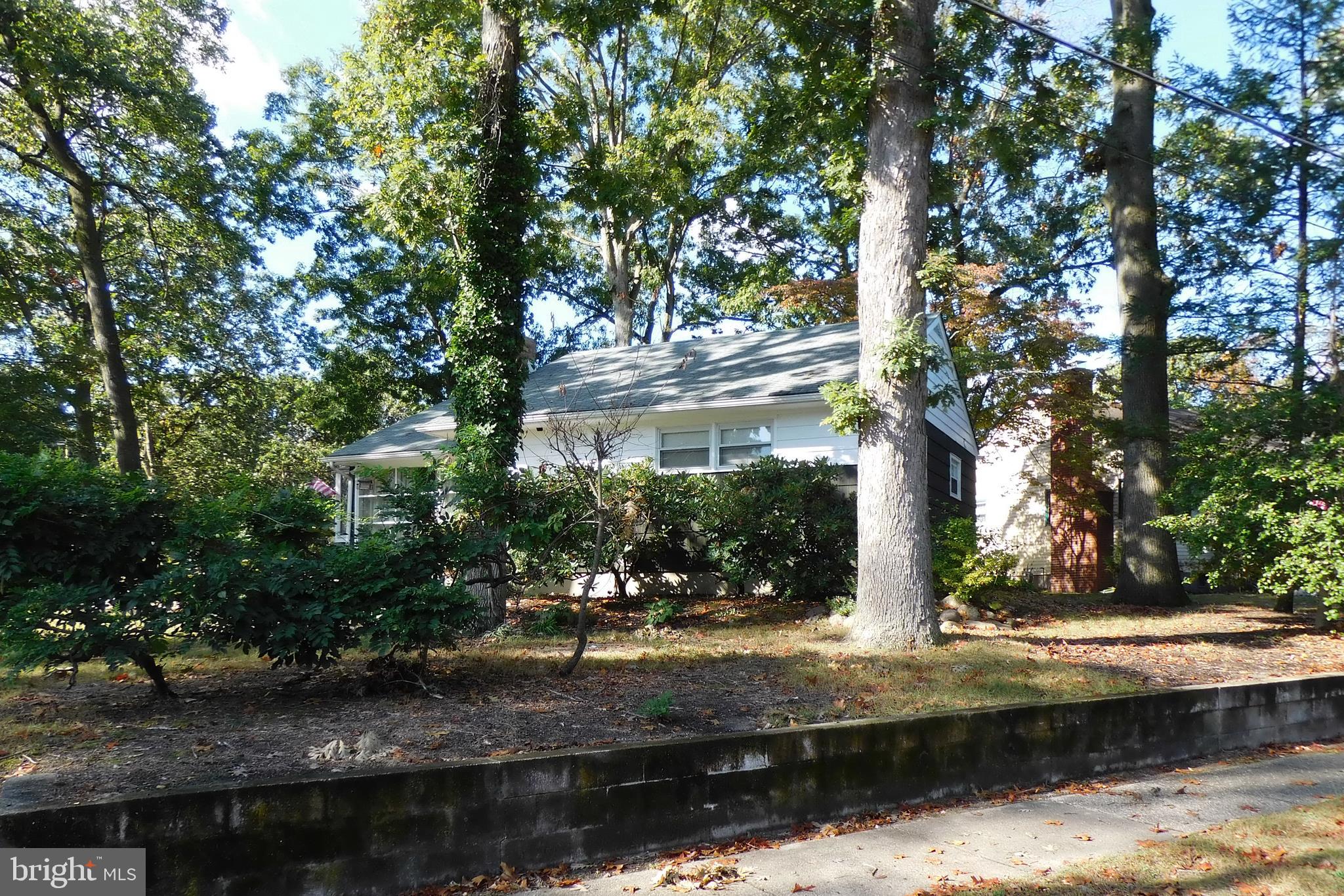13 Litle Avenue Riverside, NJ 08075 - Photo 38 of 42 Showing privacy