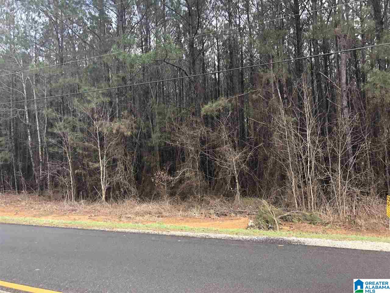 Lot 25 Crisstown Road, Unit 25 Vance, AL 35490 - Photo 2 of 4