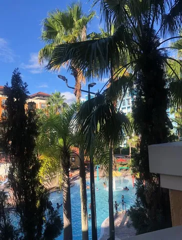 a view of a palm tree