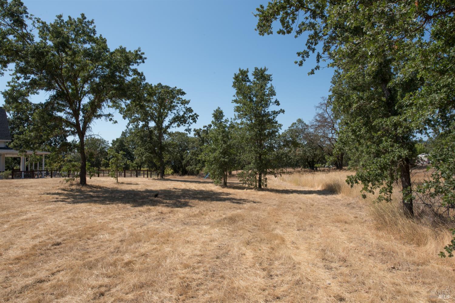 a view of dirt yard with large trees