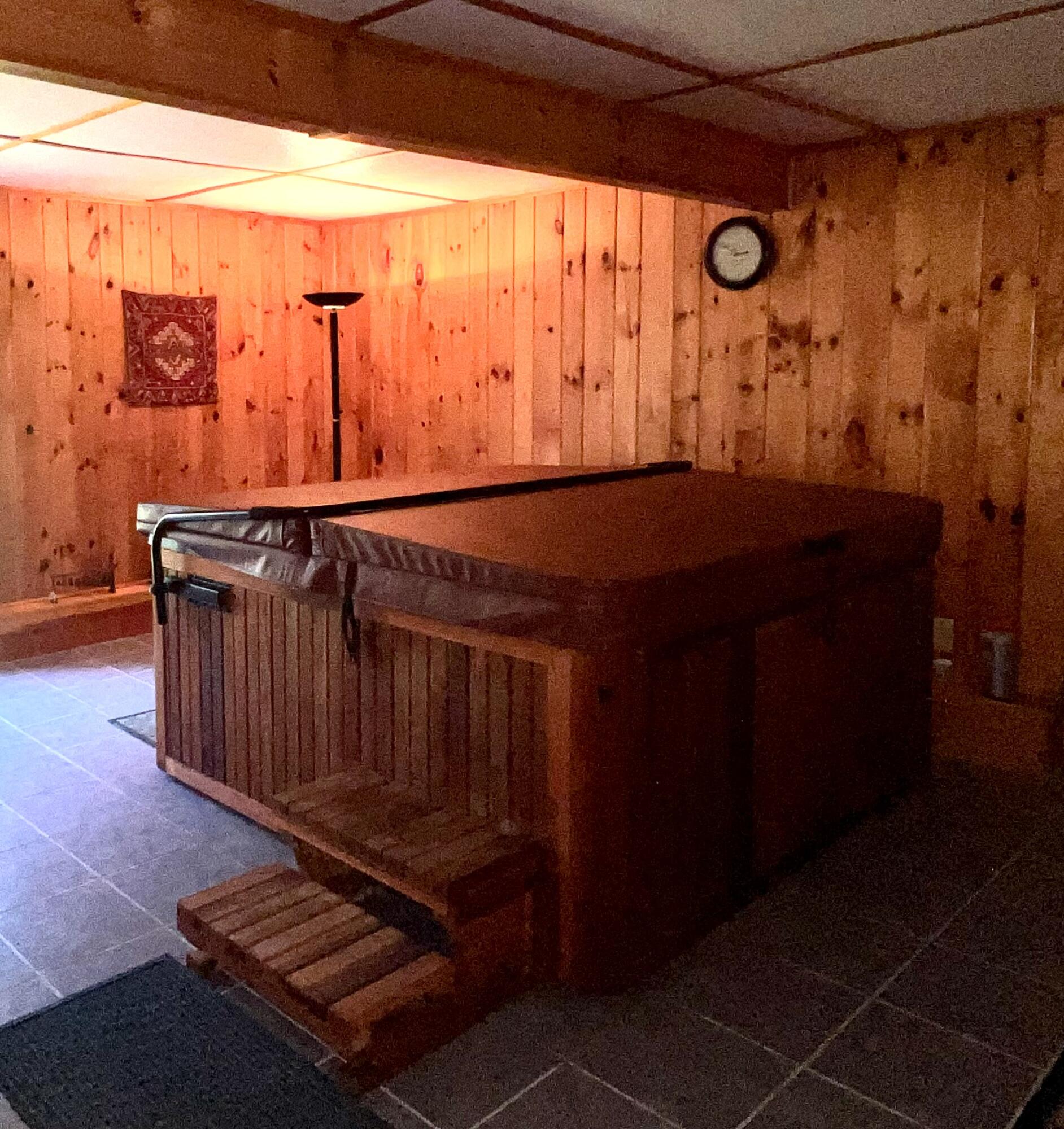 425 Phillips Road Weld, ME 04285 - Photo 8 of 56 Hot Tub