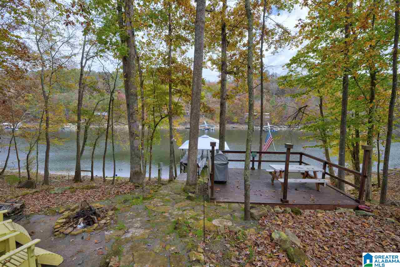 102 North Pointe Drive Arley, AL 35541 - Photo 22 of 45