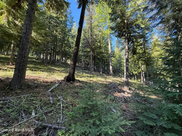 $130,000 | Lot 3 Moose Mountain Lane, Pinehurst, ID 83850