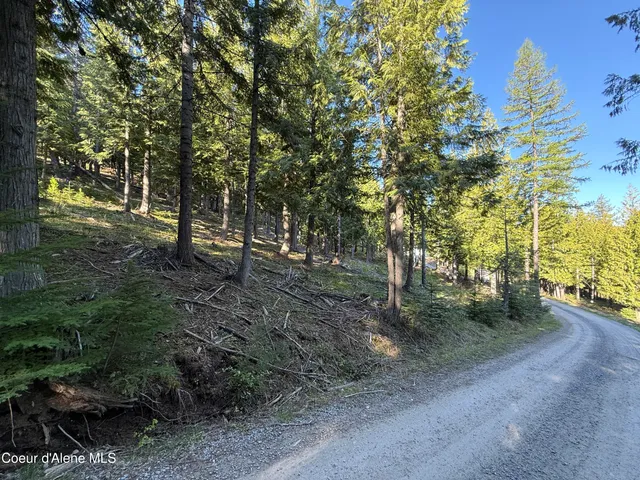 $130,000 | Lot 3 Moose Mountain Lane, Pinehurst, ID 83850