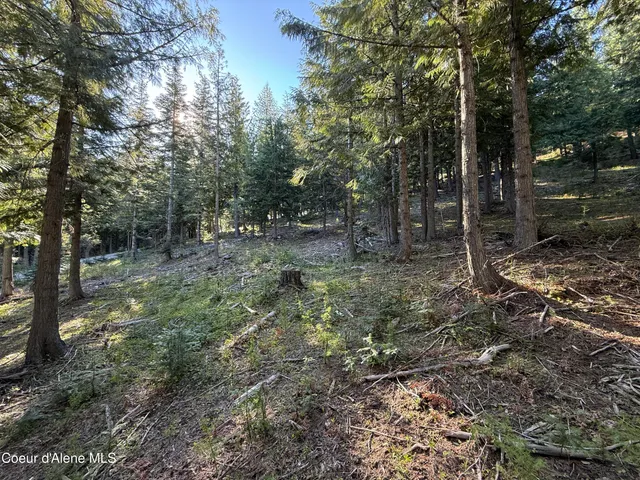 $130,000 | Lot 3 Moose Mountain Lane, Pinehurst, ID 83850
