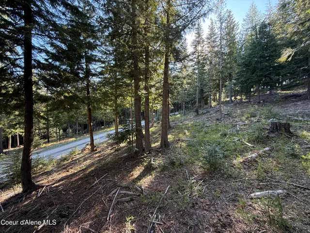 $130,000 | Lot 3 Moose Mountain Lane, Pinehurst, ID 83850
