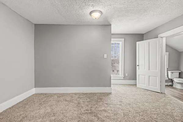 a view of a yard with a tree