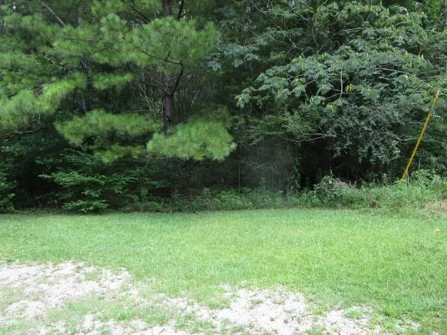 $60,000 | 0 Homer Street, Pollock, LA 71467