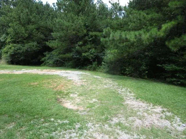 $60,000 | 0 Homer Street, Pollock, LA 71467