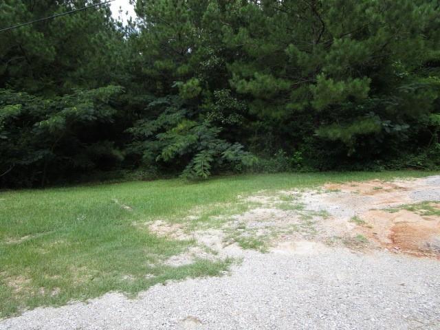 0 Homer Street Pollock, LA 71467 - Photo 4 of 6