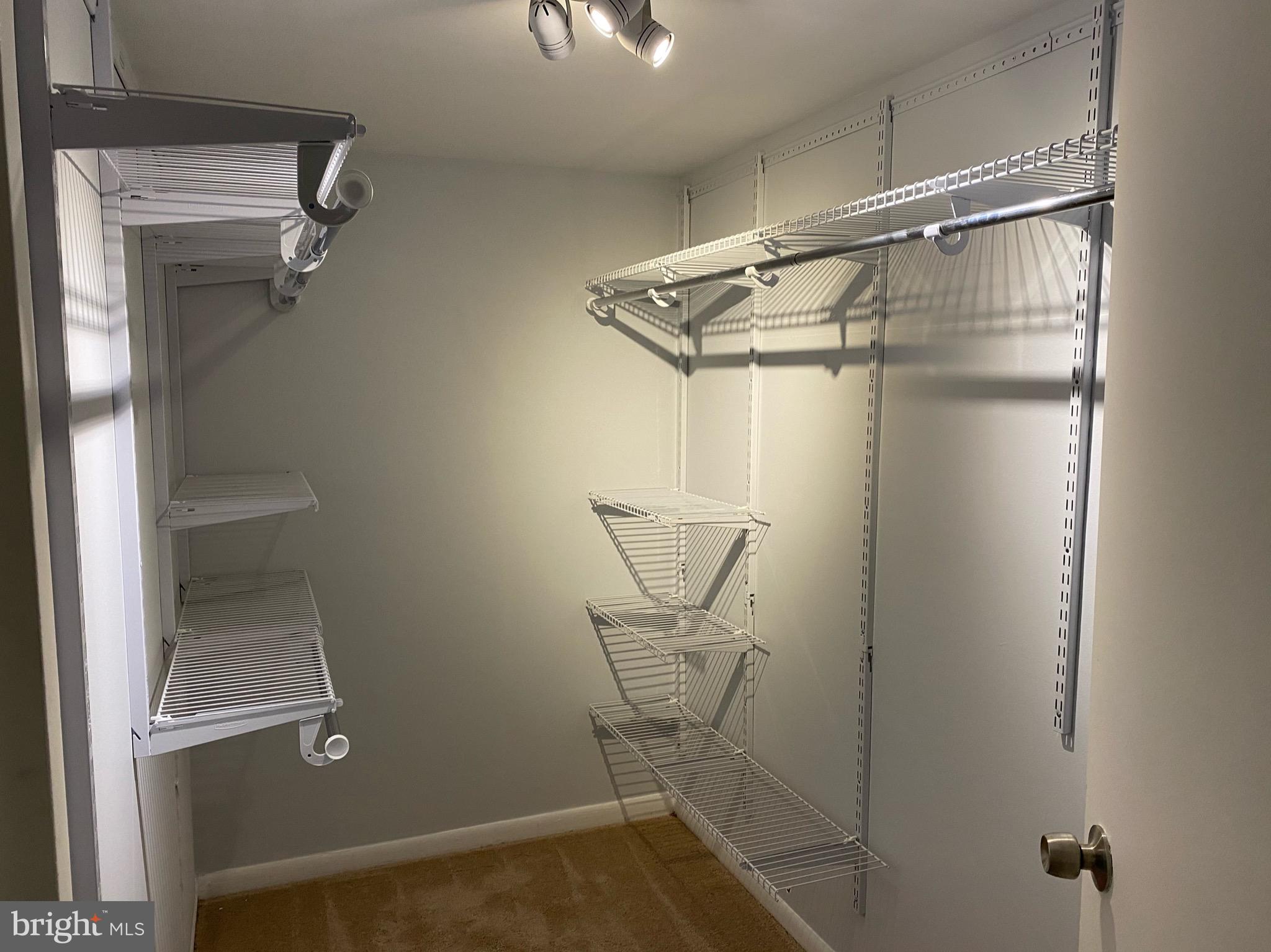 1430 Northgate Square, Unit 11B Reston, VA 20190 - Photo 16 of 25 Primary closet