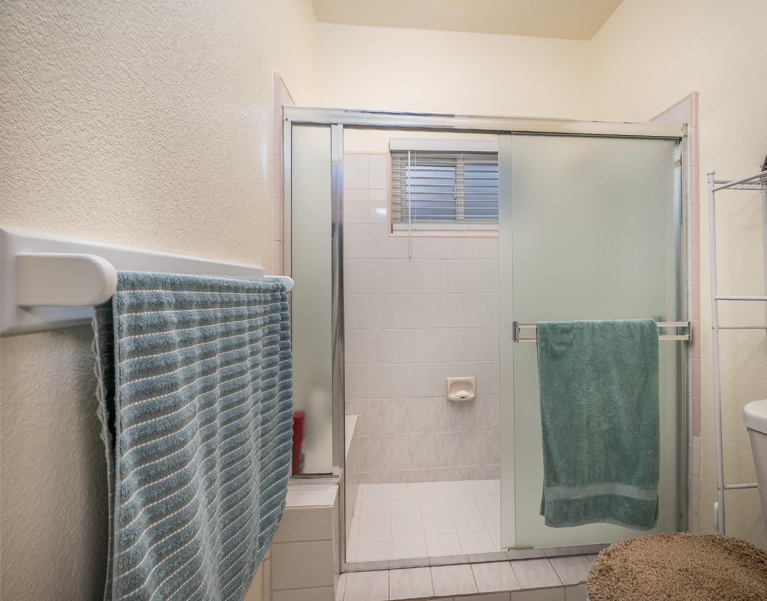 1850 Hammond Drive Turlock, CA 95382 - Photo 34 of 57 a bathroom with a shower