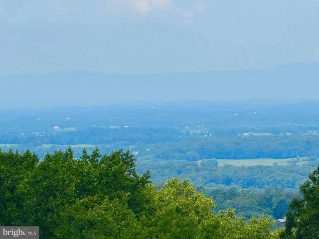 a view of a big yard with lots of green space and deers