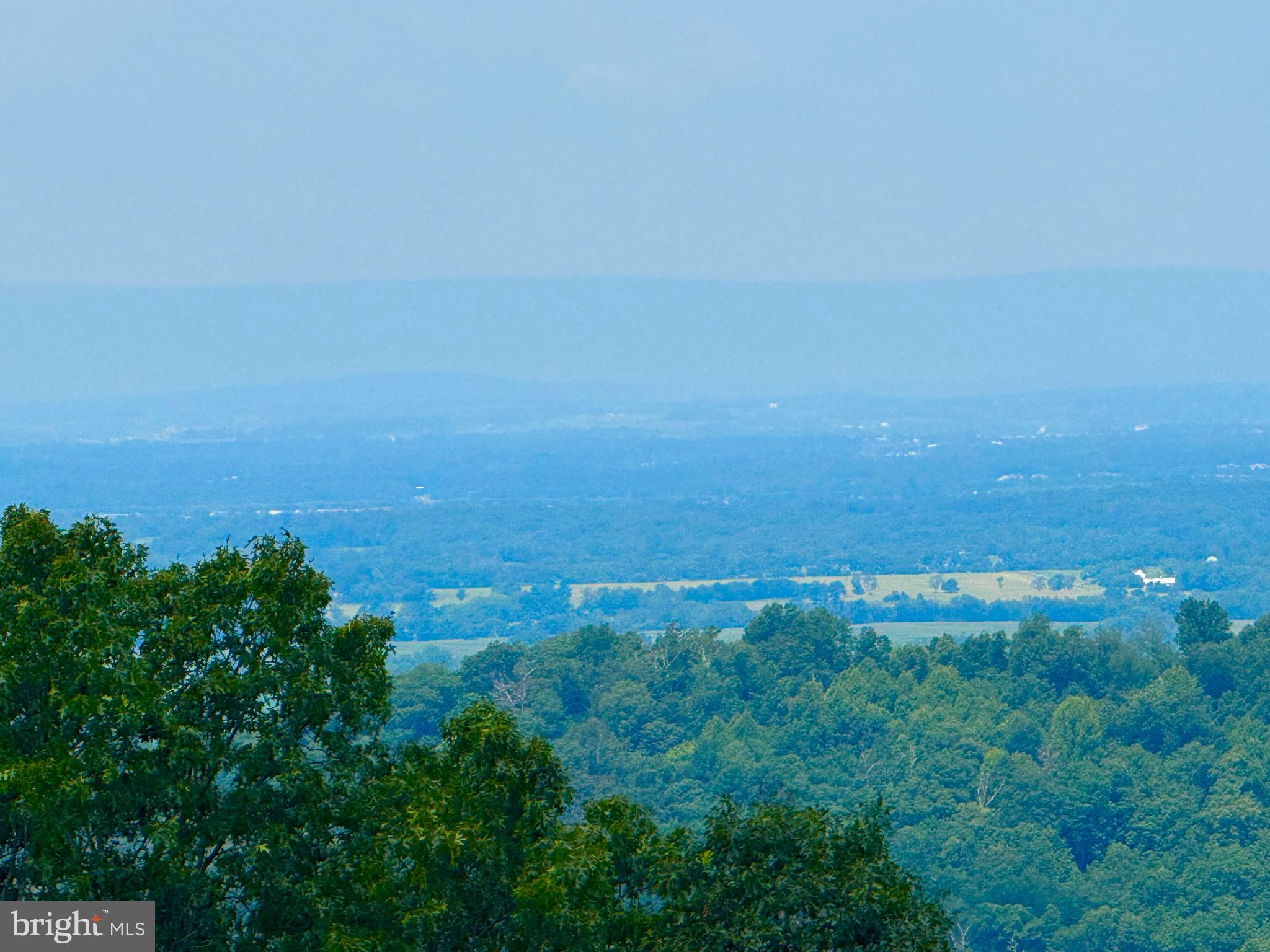742 Joans Quadrangle Road Front Royal, VA 22630 - Photo 21 of 22 a view of a big yard with lots of green space and deers