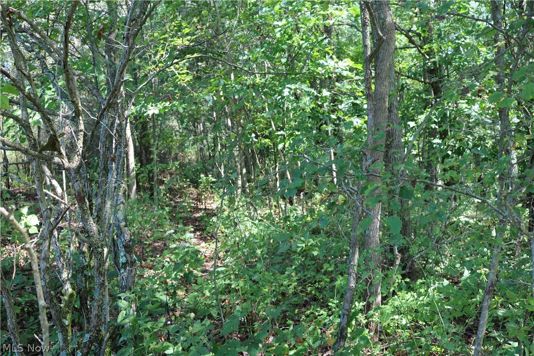 Fife Road Cadiz, OH 43907 - Photo 18 of 29