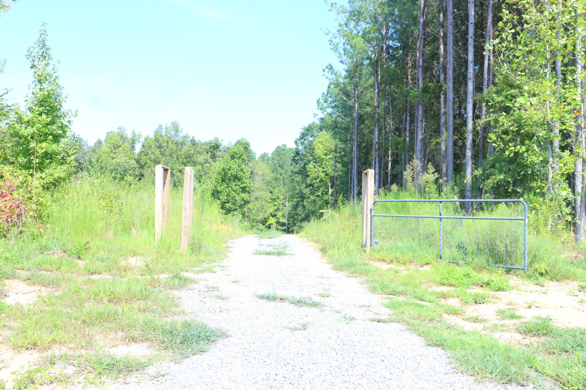 3313 Redman Lane Decatur, TN 37322 - Photo 2 of 10