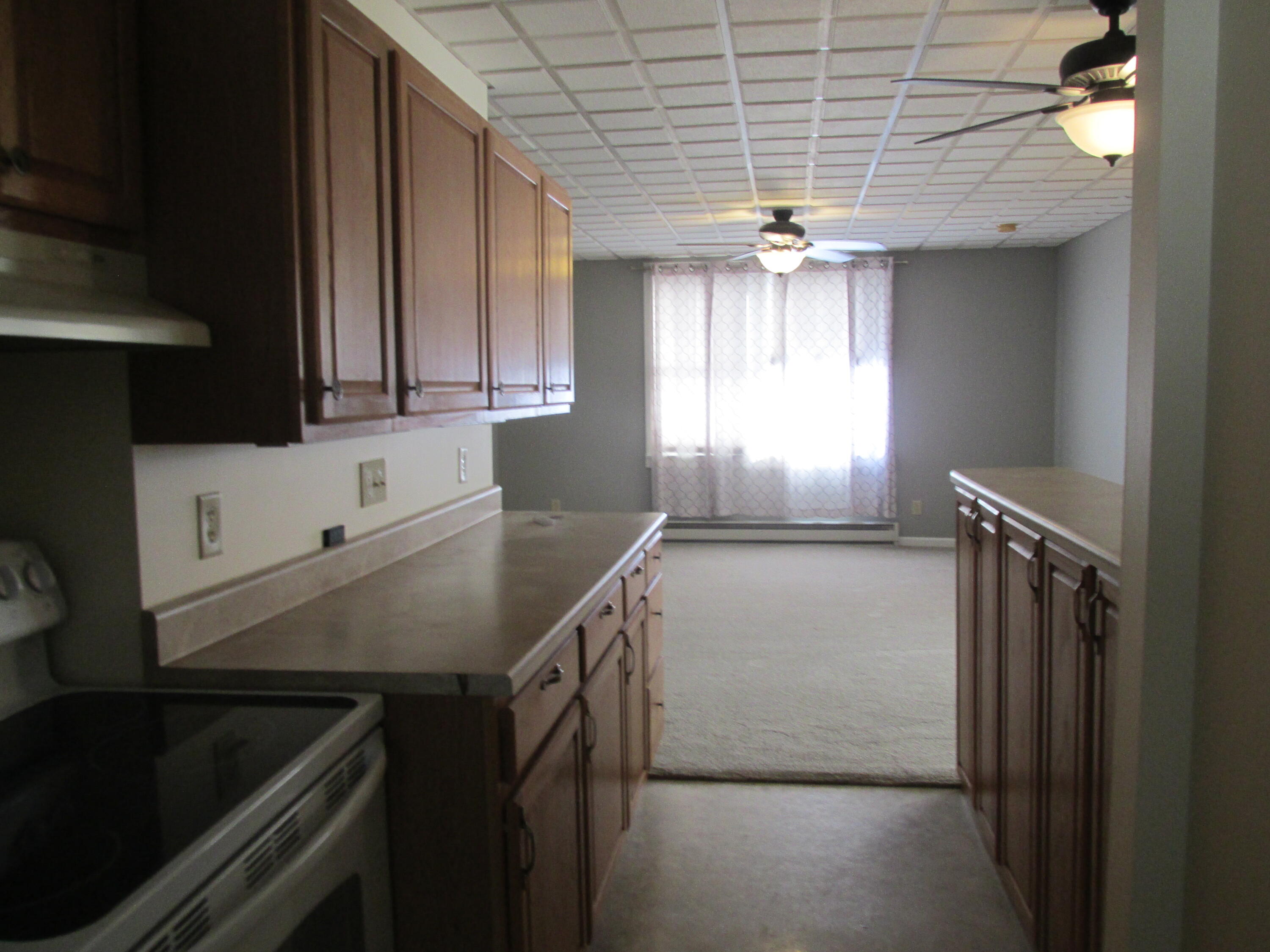 144 West Pearl Street Coldwater, MI 49036 - Photo 4 of 16 IMG_4076