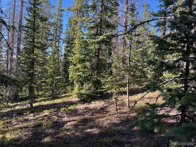 Lot 6525 Schlueter Road San Luis, CO 81152 - Photo 12 of 21