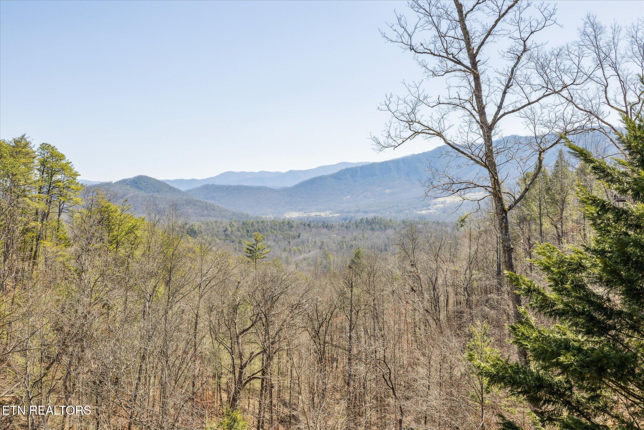 228 Tolliver Trail Townsend, TN 37882 - Photo 19 of 46 20-IMG_0236