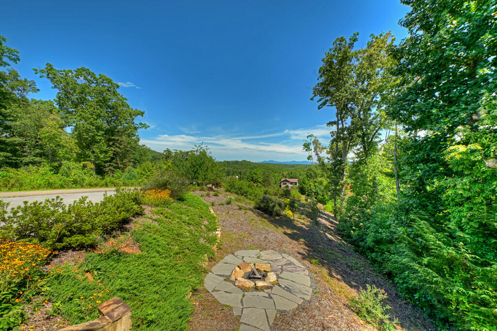 320 Amber Ridge Blue Ridge, GA 30513 - Photo 39 of 56 Gallery Image 39