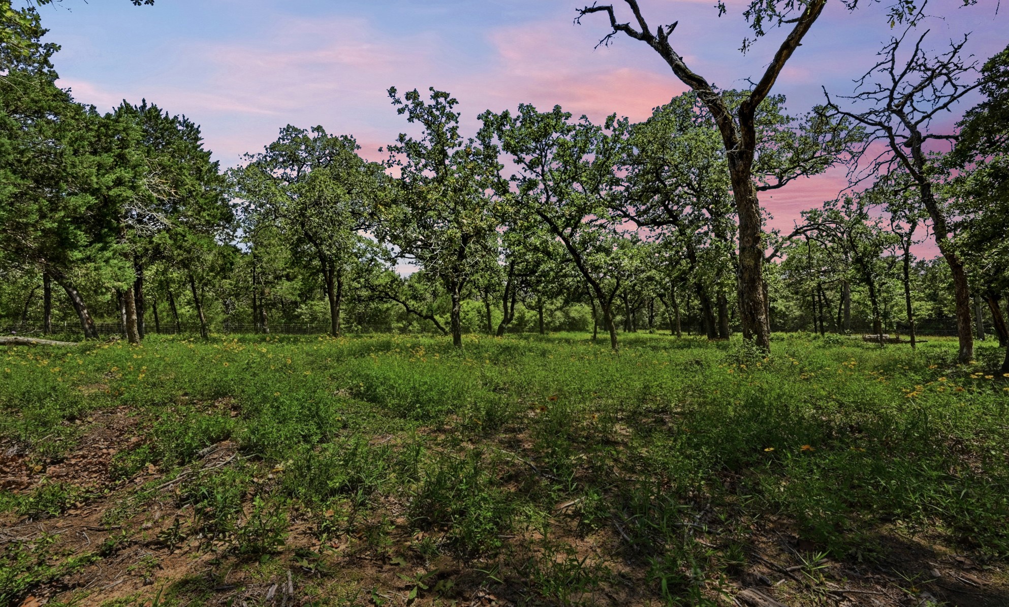 387 Corral Road Smithville, TX 78957 - Photo 39 of 40 Wooded lot featuring mature trees and natural ground cover