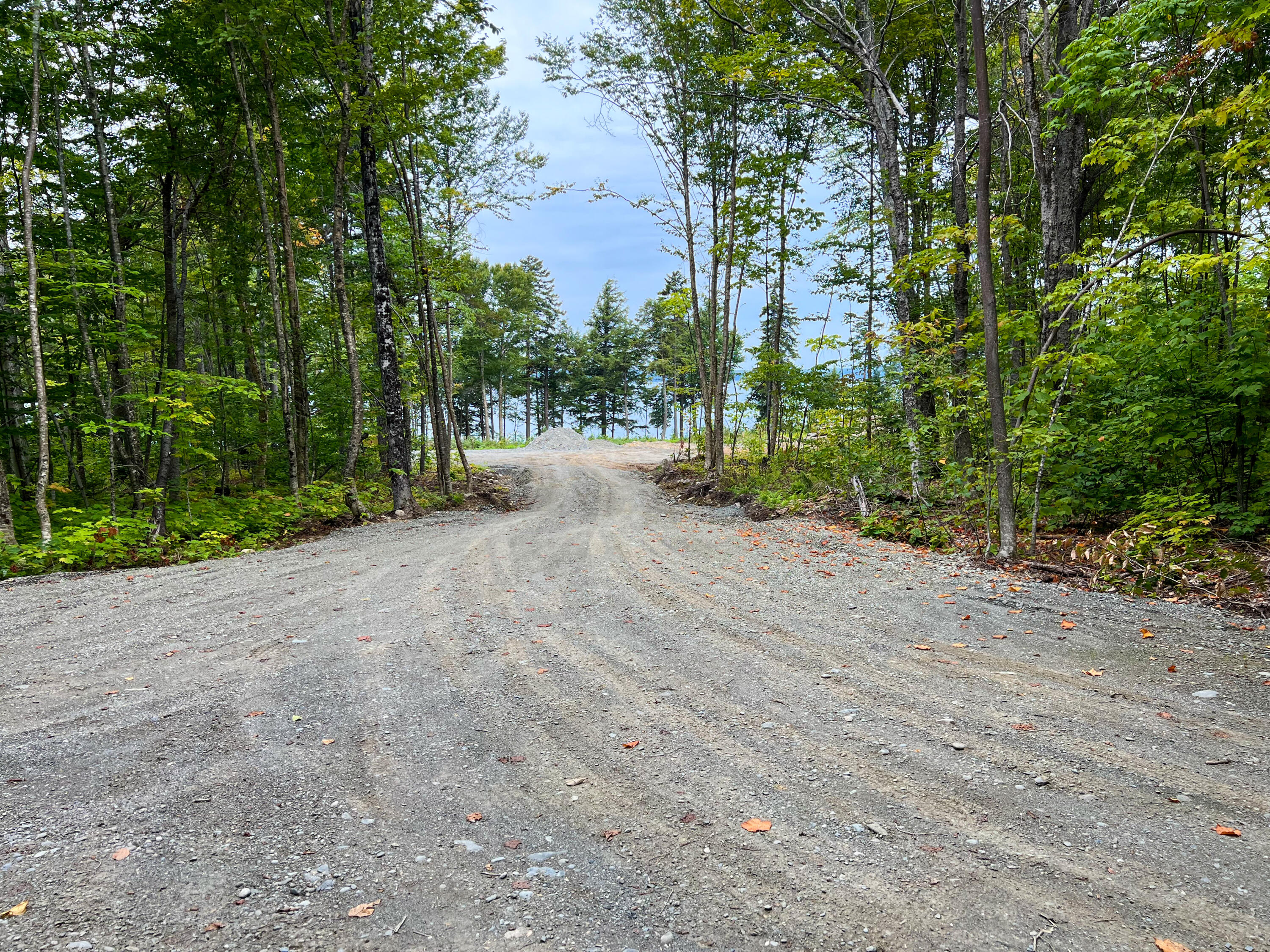 Lot 78 Norcross Brook Road Greenville, ME 04441 - Photo 8 of 10 IMG_0596