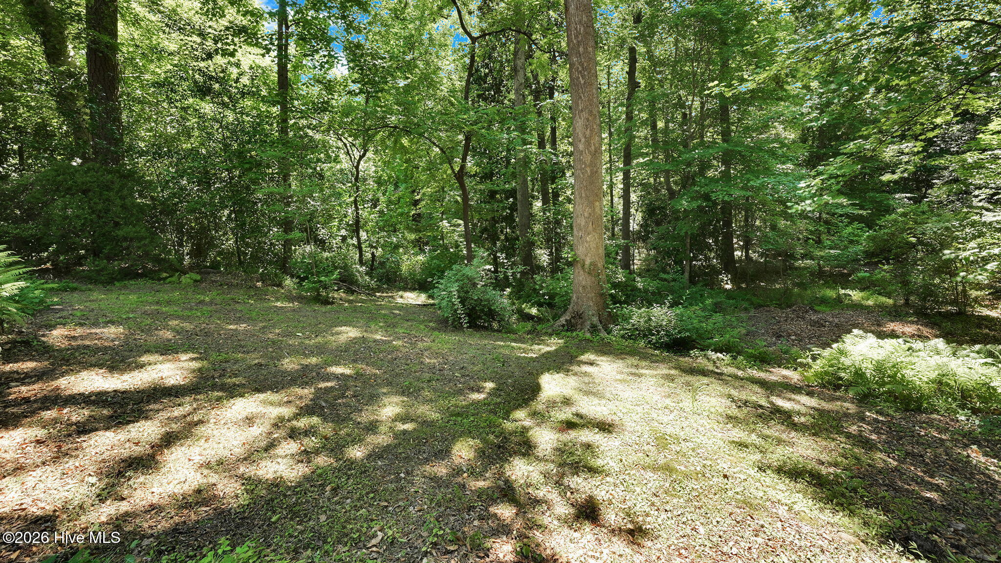 141 East Longmeadow Road Greenville, NC 27858 - Photo 46 of 70