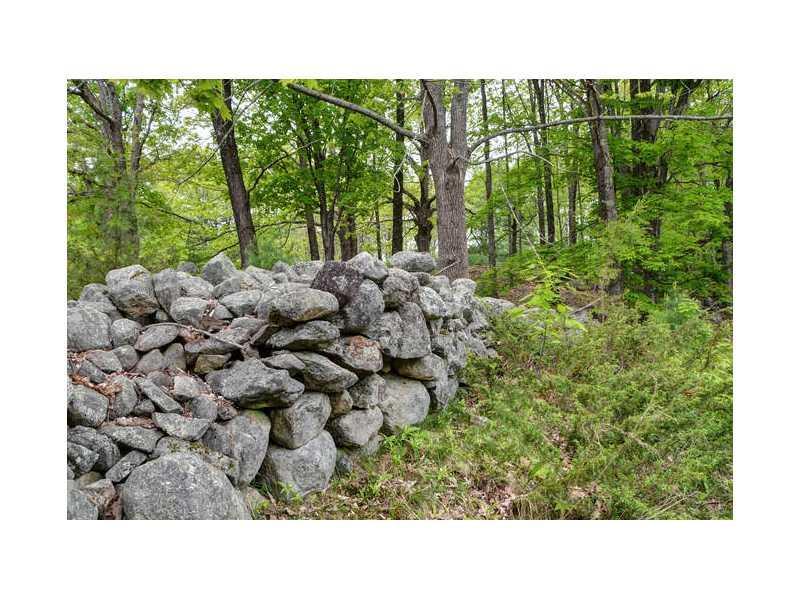 221 Watson Hill Road Limerick, ME 04048 - Photo 25 of 35 Yard/Garden.