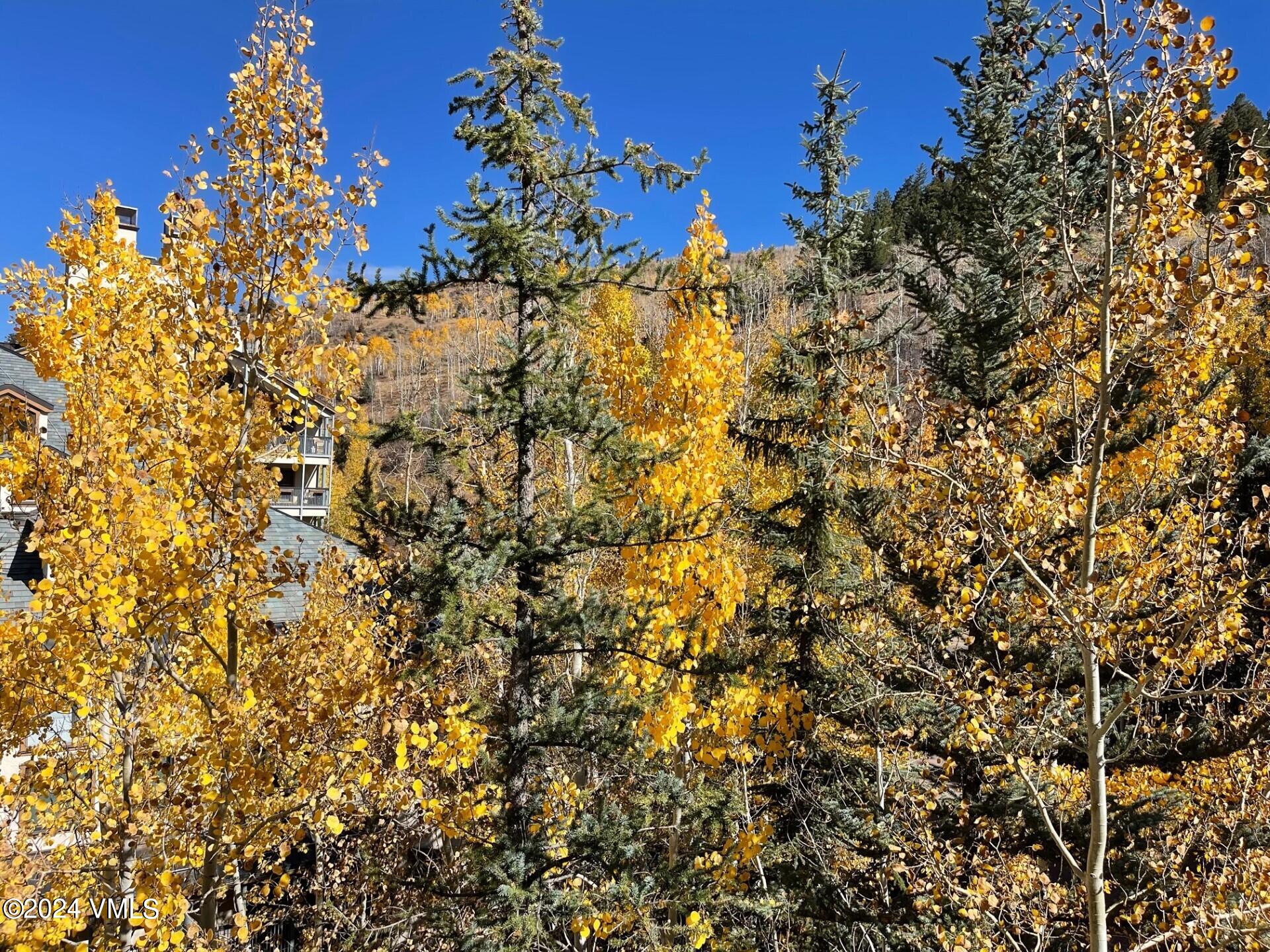 210 Offerson Road, Unit R204 WEEK 14 Beaver Creek, CO 81620 - Photo 3 of 28 SJP 204 View Fall 2023 (2)