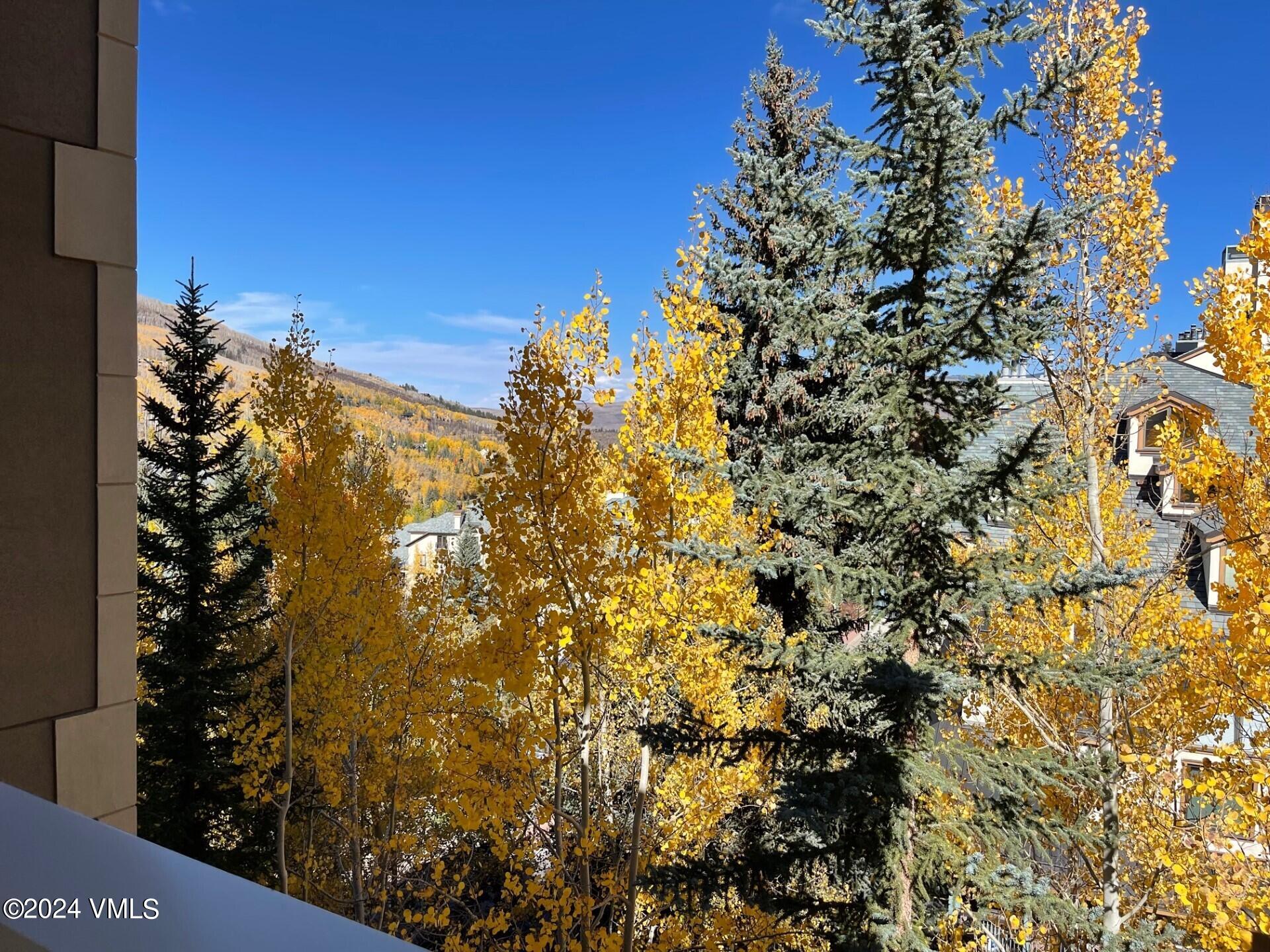 210 Offerson Road, Unit R204 WEEK 14 Beaver Creek, CO 81620 - Photo 4 of 28 SJP 204 View Fall 2023