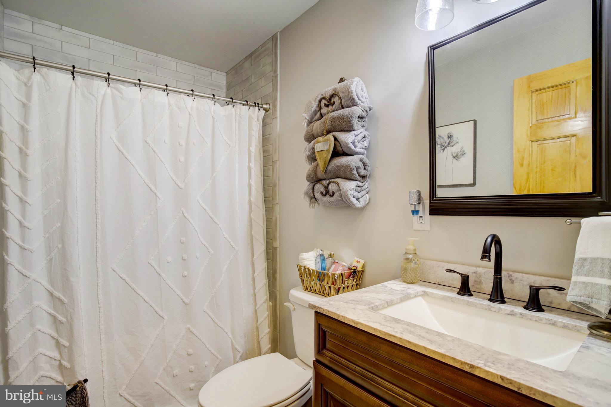 5520 Indiantown Road Rhodesdale, MD 21659 - Photo 23 of 51 a bathroom with a shower curtain sink and a toilet